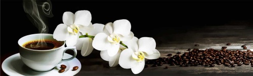 АБС пластик для фартука отзывы Белая орхидея и кофе 